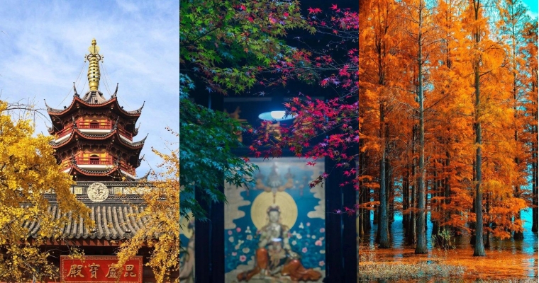 中国最浪漫的古都 感受一下满是梧桐树的城市