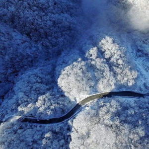 高铁直达的南国赏雪胜地神农架 绝美雪景不输东北