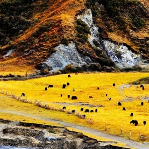 《有翡》取景地曝光 没想到你是这样的川西