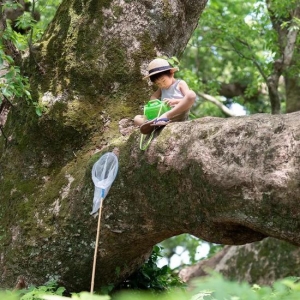 日本摄影师曝光儿子私房照 这才是我们向往的夏天！