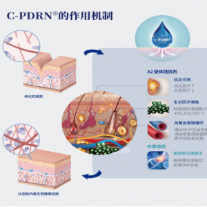 解密PDRN，大热的三文鱼针与婴儿针有何区别？