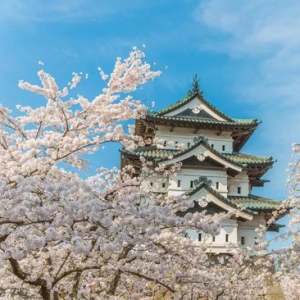 超高性价比的日本小众赏樱圣地 你必须知道